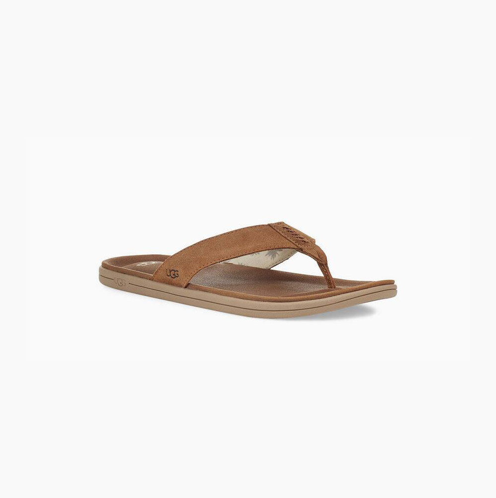 UGG Brookside Brown Flip Flops for Men (FRQJ23475)